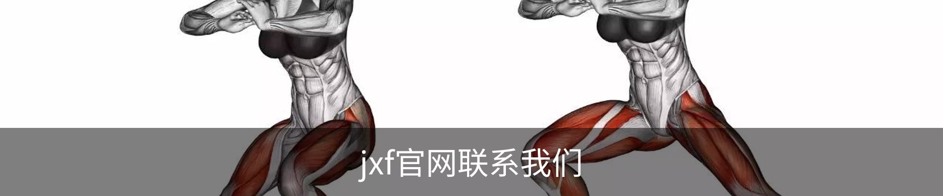 jxf官网联系我们